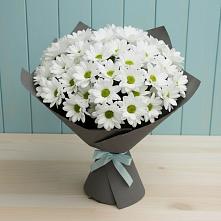 Букет цветов из:  Хризантемы в Дракино
