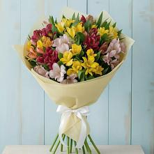 Букет цветов из:  Альстромерии в Дракино