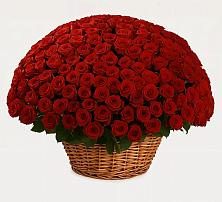 Премиум букет из: Розы #REPLACE_PRED# Дракино