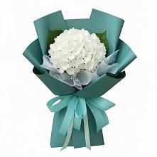 Букет цветов из:  Гортензия в Дракино